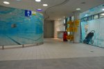 DSC_0016.jpg - 